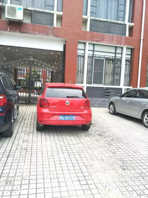 中园有多少汽车